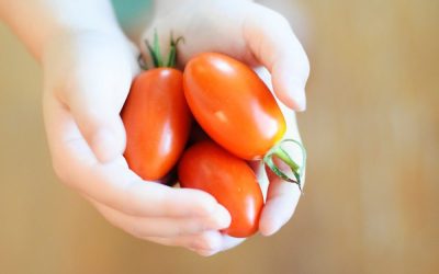 Antioxidants And The Health Of Your Skin
