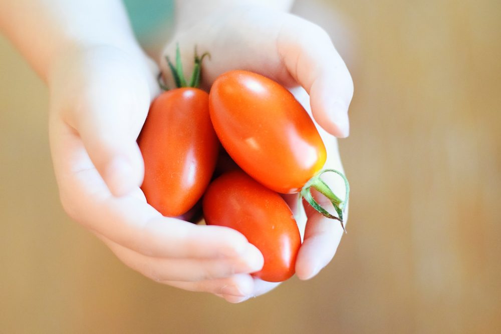 Antioxidants And The Health Of Your Skin